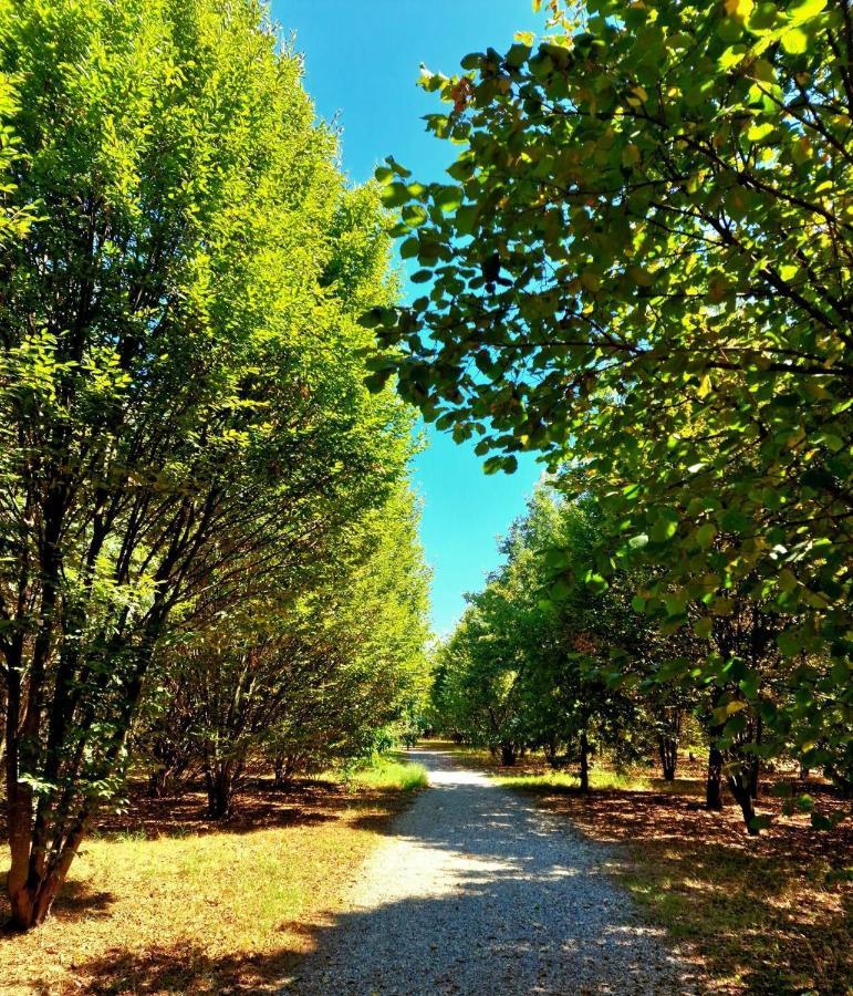 Pacy - Park City Home San Giuliano Milanese Εξωτερικό φωτογραφία