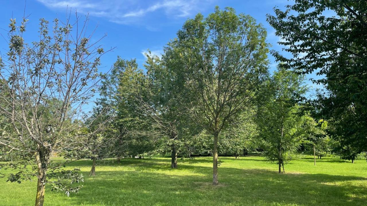 Pacy - Park City Home San Giuliano Milanese Εξωτερικό φωτογραφία